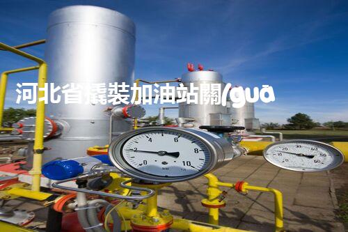 河北省撬裝加油站關(guān)鍵技術(shù)突破！化工廠拆除工程的新方法探索？
